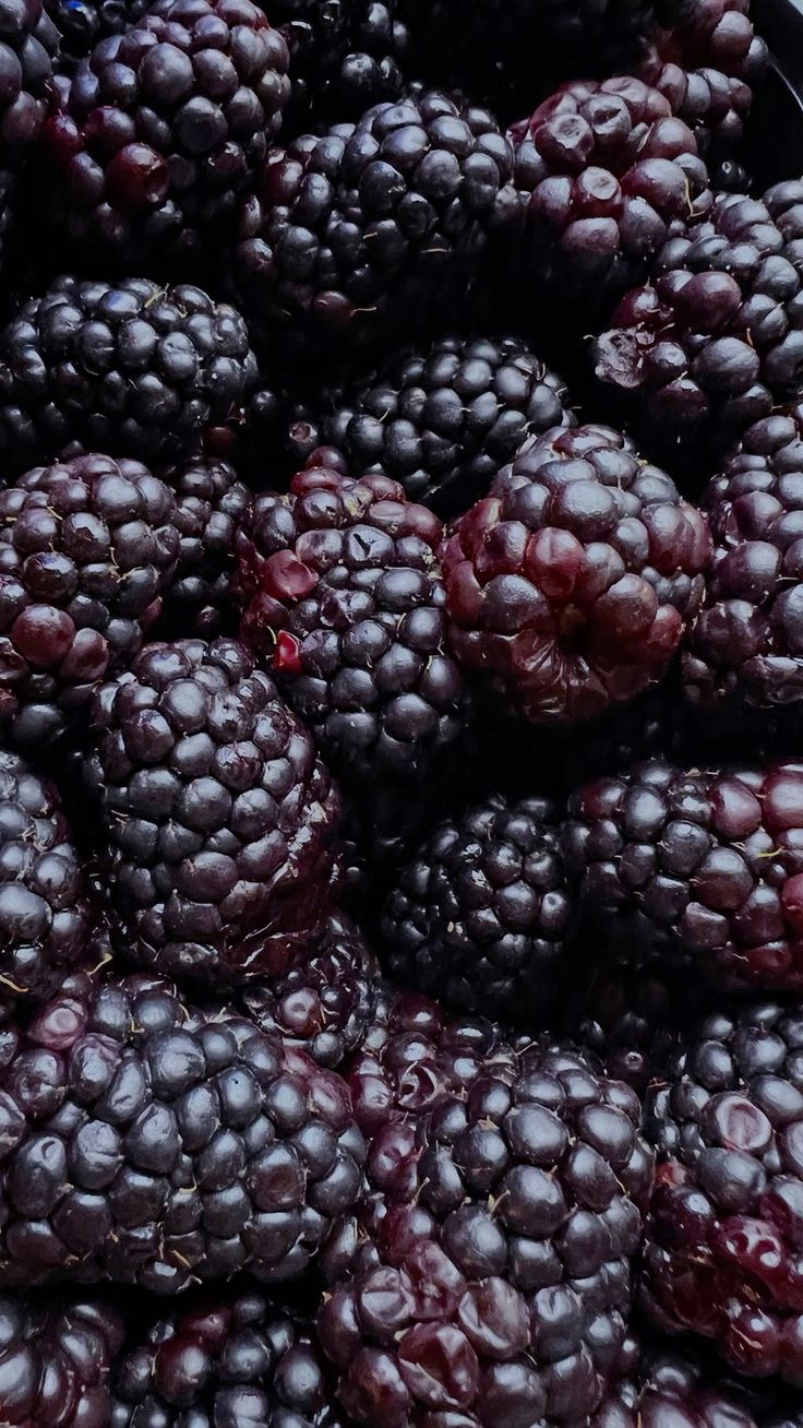 Blackberries