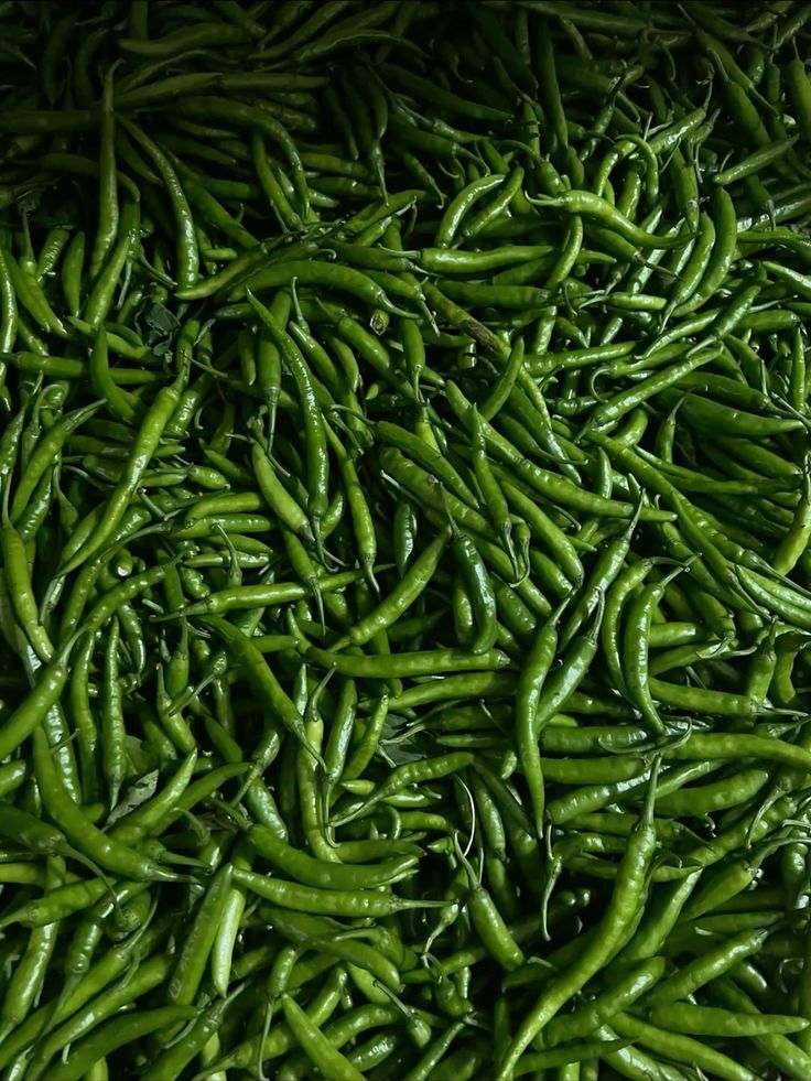 Fresh Green Chillies