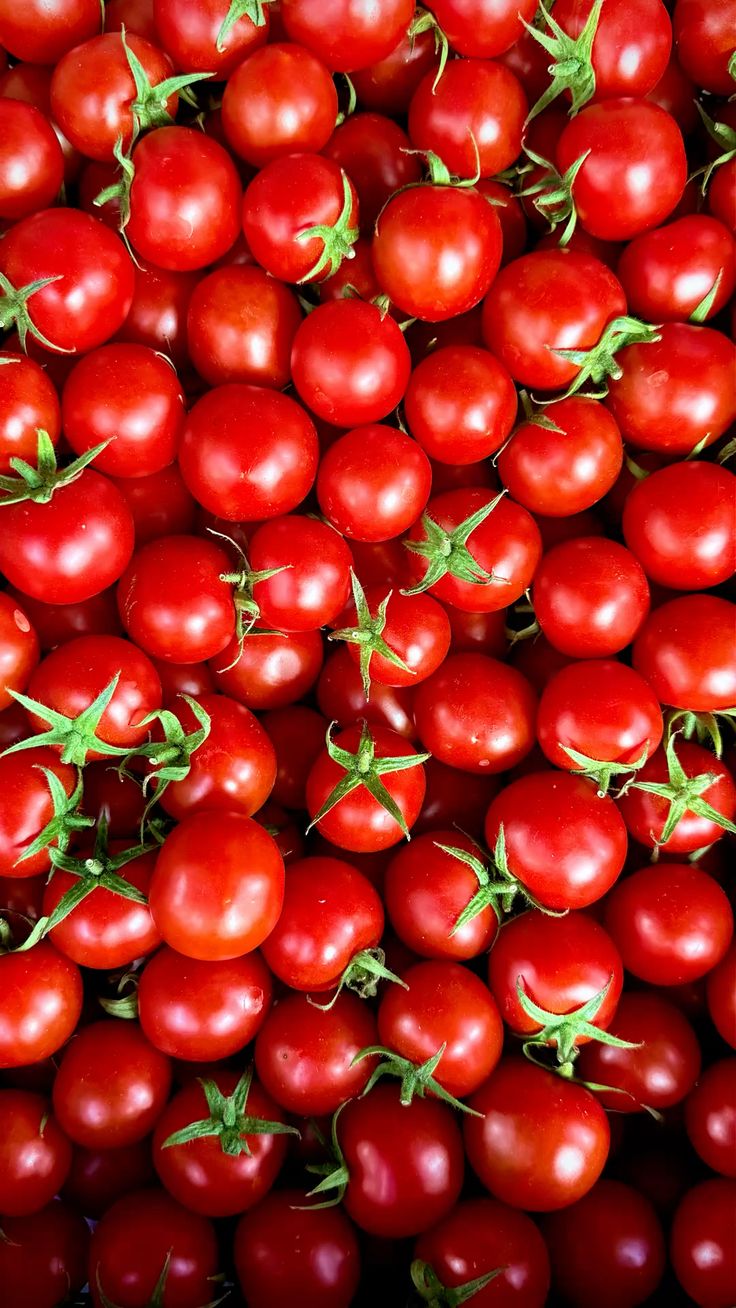 Cherry Tomatoes