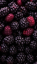 Blackberries