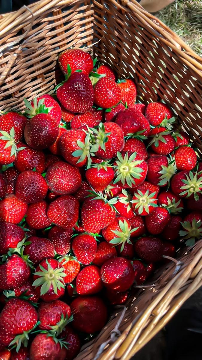 Strawberries