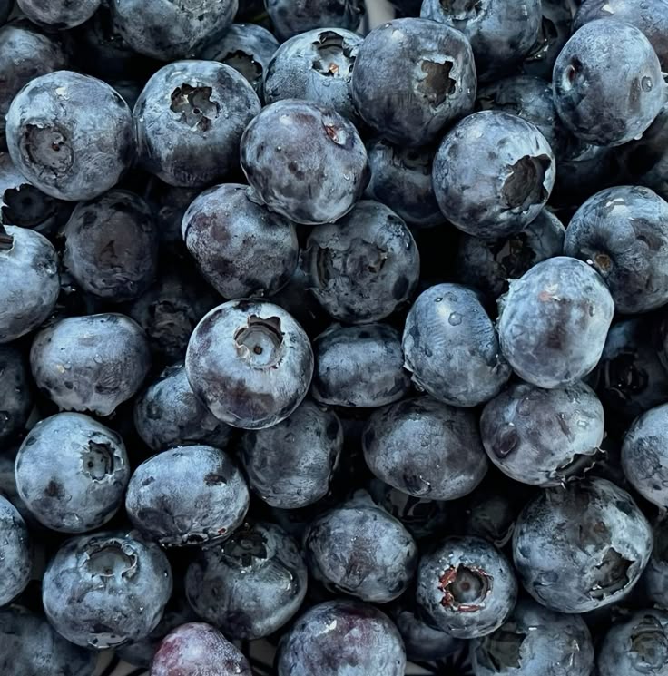 Blueberries