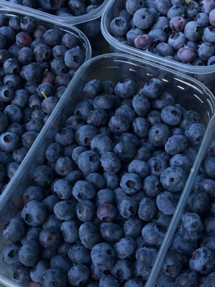 Blueberries
