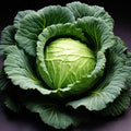 Cabbage (whole)